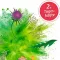 Instructions for use for Base Active Tea No. 2 Mariend.-Dandelion Organic Salus, 40 kpl - 3