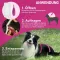 FRONTLINE Tri-Act tippaliuos koirille 2-5 kg, 6 kpl