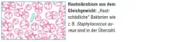 Instructions for use for AKTIVADERM ND Neurodermatiitin ihon hoitoon vaikuttavat probiootit, 125 g - 2