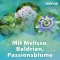 VIVINOX Hermolepo Baldr.+Mel.+Passion.Calm.Drag., 100 kpl