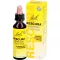 BACHBLÜTEN Alkuperäiset Rescura-tipat alkoholiton, 20 ml