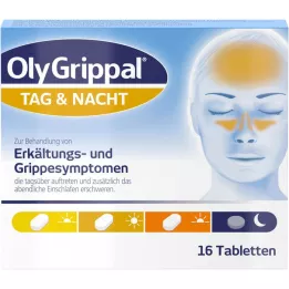 OLYGRIPPAL Päivä &amp; Yö 500 mg/60 mg tabletit, 16 kpl