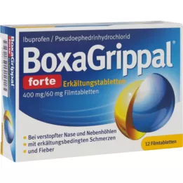 BOXAGRIPPAL forte Cold Tab. 400 mg/60 mg FTA, 12 kpl