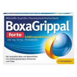 BOXAGRIPPAL forte Cold Tab. 400 mg/60 mg FTA, 12 kpl