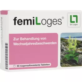 FEMILOGES enteropäällysteiset tabletit, 90 kpl