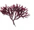 Instructions for use for Phytodefrisant Anti-Frizz Retouch -hoitogeeli, 50 ml - 4