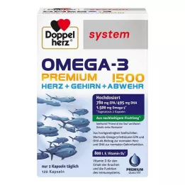 DOPPELHERZ Omega-3 Premium 1500 järjestelmän kapselit, 120 kapselia