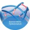 OCUTEARS® HYDRO+ silmätipat, 10 ml