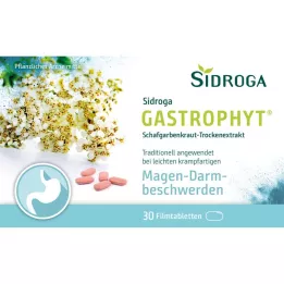 SIDROGA GastroPhyt 250 mg kalvopäällysteiset tabletit, 30 kpl