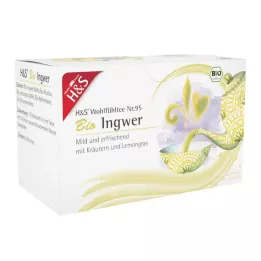 H&amp;S Orgaanisen inkiväärin suodatinpussi, 20X2 g