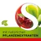 DOBENSANA Herbal Cherry Paste Vit.C & Zinc Pastil., 16 kpl