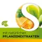 Dobensana Herbal Honey Vitamins C &amp; Sinkkipastiili.(36 kpl)