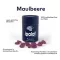 Ipalat Pastilles Flavor Edition Mulberry (40 kpl)