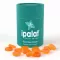 Ipalat Pastilles Flavor Edition Summer Mint (40 kpl)