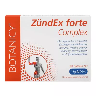 ZÜNDEX forte Complex with OptiMSM Capsules, 60 kapselia, 60 kapselia