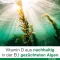 Vitamin D-Loges 7000 IU kasvipohjainen viikoittainen varasto, 90 kpl