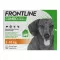 FRONTLINE COMBO punkkeja, kirppuja vastaan koirilla S (2 -10 kg), 6 kpl