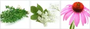 Instructions for use for RESTORIA IMMUN PLUS Kapselit, 60 kpl - 2