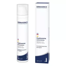 DERMASENCE Hyalusome puhdistusgeeli, 100 ml