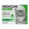 FRONTLINE Combo Spot on cat skin -valmiste, 6 kpl