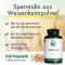 Green Naturals Spermidine 1,6 mg vegaaniset kapselit, 240 kpl