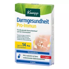 KNEIPP Suolistoterveys Pro-Immuunikapselit, 20 kapselia