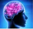 Instructions for use for NEUROPEP Kapselit, 30 kpl - 2