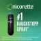 Nicorette Fruit &amp; Mint Spray 1 mg / spray Nfc, 1 kpl