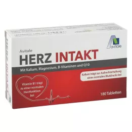 HERZ INTAKT kalium+magnesium+B-vitamiinit tbl, 120 kpl