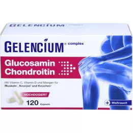 GELENCIUM Glukosamiini-kondroitiini korkea-annoksinen Vit C Kps, 120 kpl