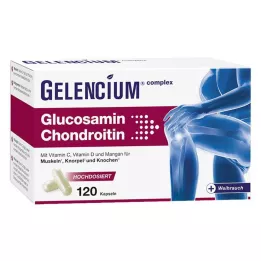 GELENCIUM Glukosamiini-kondroitiini korkea-annoksinen Vit C Kps, 120 kpl