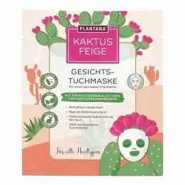 PLANTANA Kaktuspensaan kasvonaamio Aloe Veralla, 1 kpl
